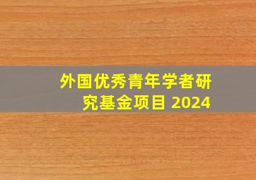 外国优秀青年学者研究基金项目 2024